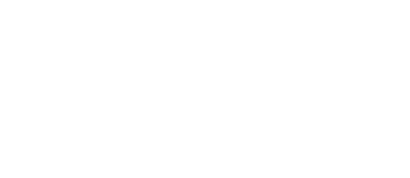 LADY'S 