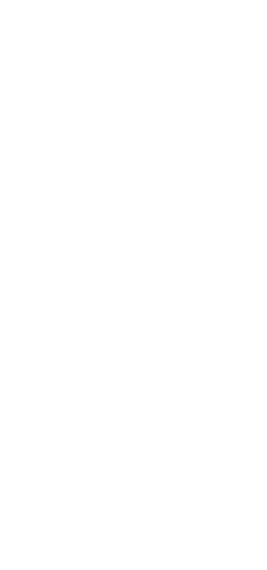 飛騨牛イチボステーキ